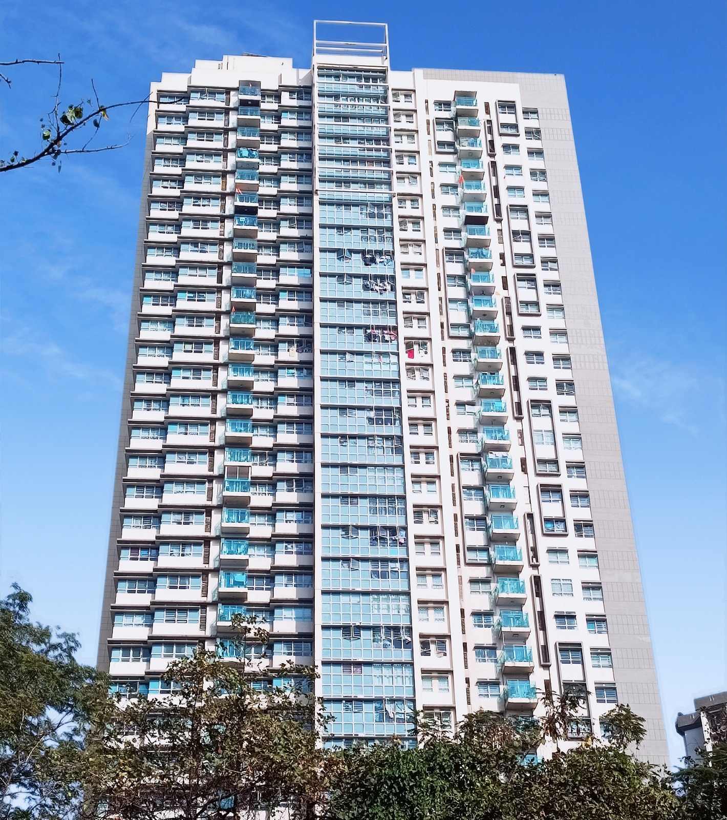 WhatsApp Image 2024-02-29 at 11.08.23 AM