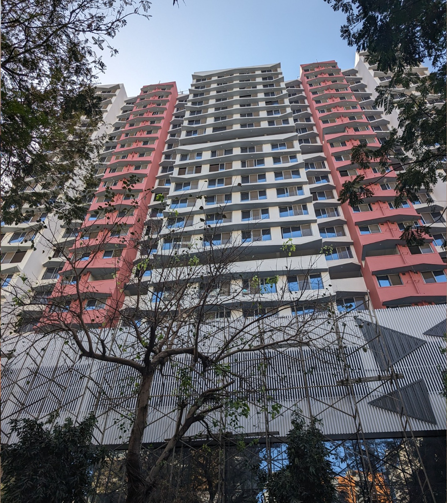 WhatsApp Image 2024-02-29 at 2.50.33 PM